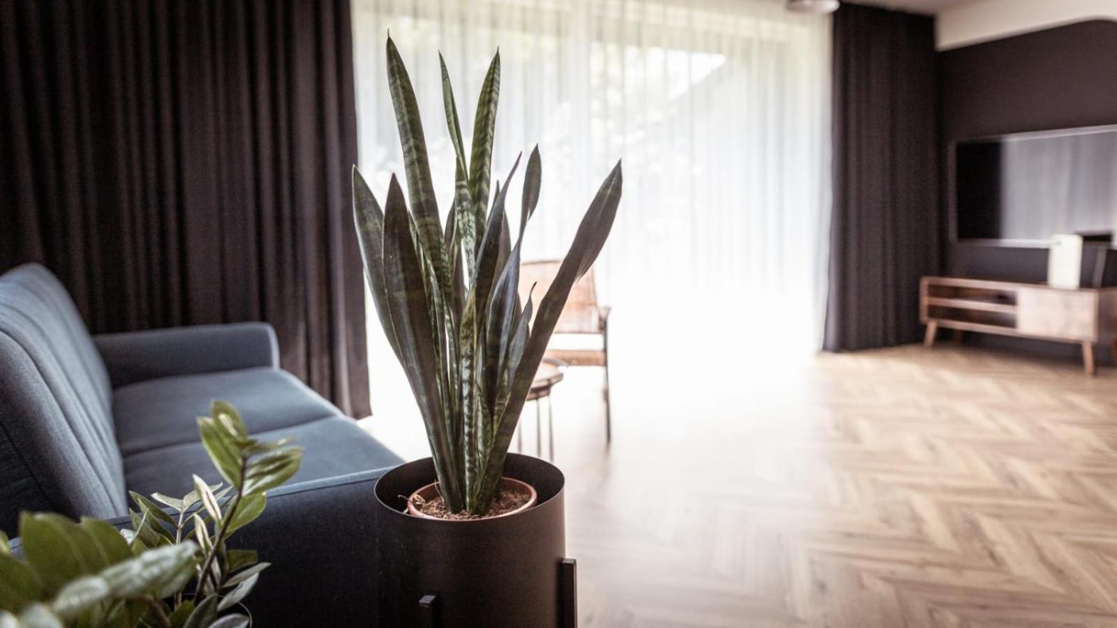 Apartments Abcd بيالا بودلاسكا المظهر الخارجي الصورة